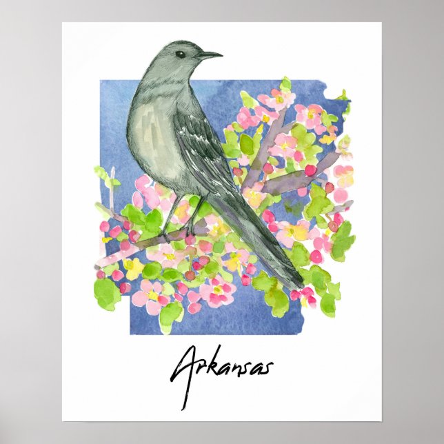 Arkansas Natural State Mockingbird Apple Blossoms Poster (Framsidan)