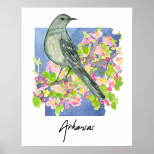 Arkansas Naturliga Statens Härmtrast Äppelblommor Poster