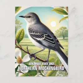Arkansas State Bird Northern Mockingbird Vykort
