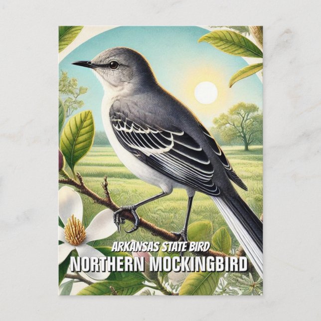 Arkansas State Bird Northern Mockingbird Vykort (Framsida)