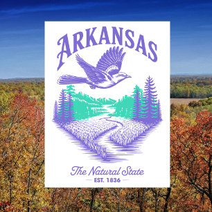 Arkansas The Natural State Est. 1836 Resa Vykort