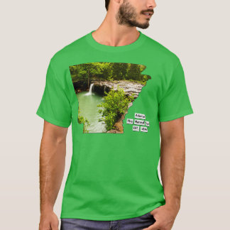 Arkansas USA T Shirt