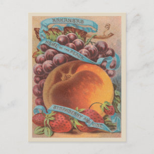 Arkansas Vintage Peach Strawberry Graps Vykort