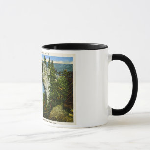 Ärke- stenMackinac ö, Michigan Mugg