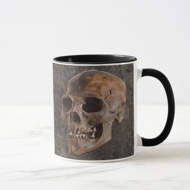 Arkeologi II - Skull på steneffektbakgrund Mugg (Höger)