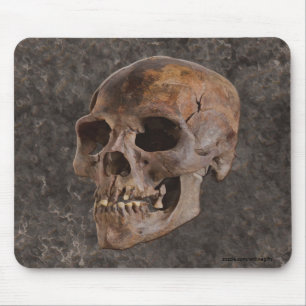 Arkeologi II - Skull på steneffektbakgrund Musmatta