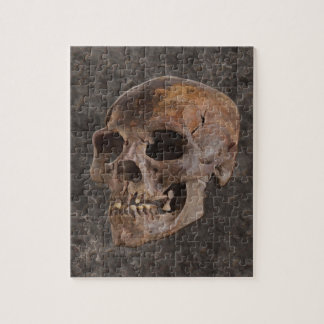 Arkeologi II - Skull på steneffektbakgrund Pussel
