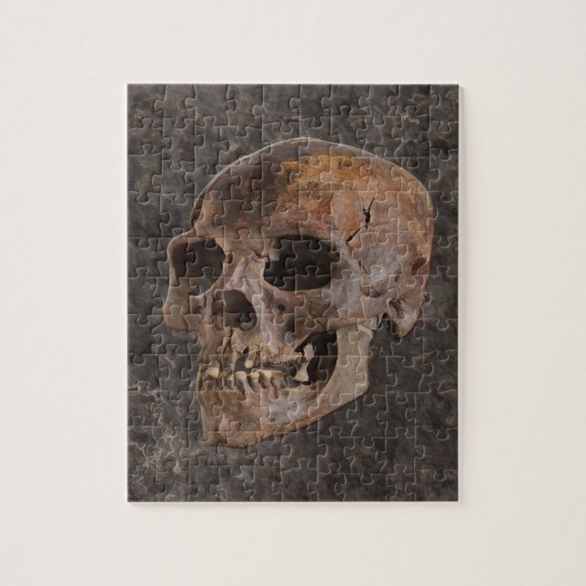 Arkeologi II - Skull på steneffektbakgrund Pussel (Vertikal)
