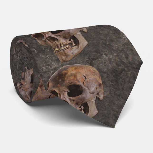 Arkeologi II - Skull på steneffektbakgrund Slips (Rullad)