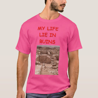 Arkeologiskämt 16 t shirt