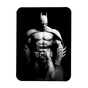 Arkham City Batman Black and White Wide Pose Magnet