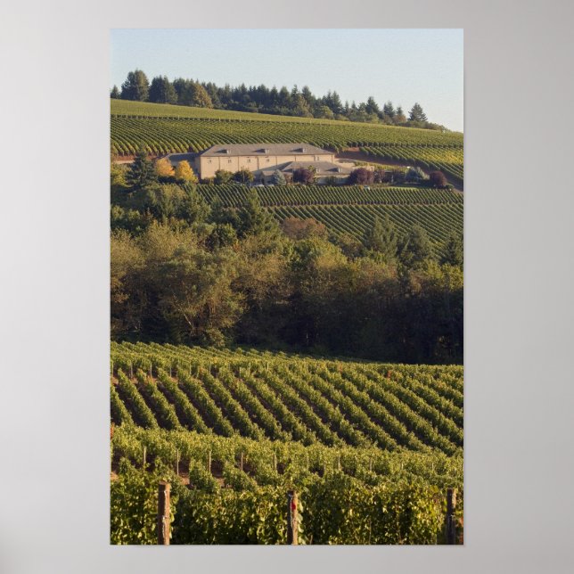 Arkitektoppmötet i byggnad vid backe poster (Framsidan)