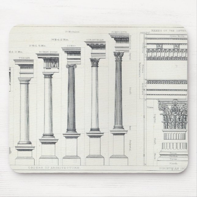 Arkitektur mig: Beställer av arkitektur Musmatta (Framsidan)