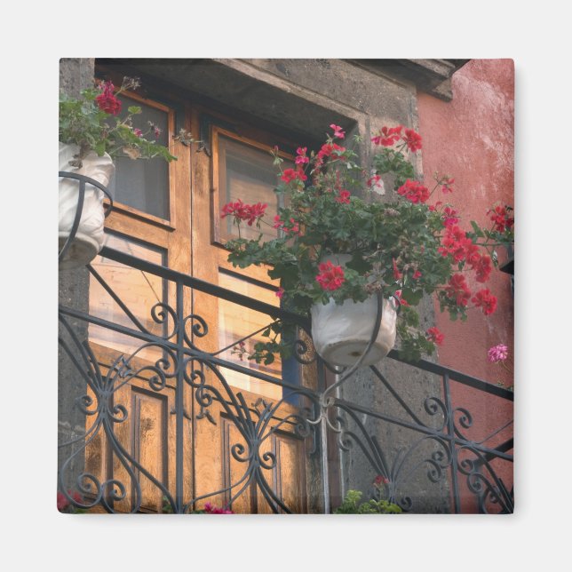 Arkitektur på San Miguel de gator Magnet (Framsidan)