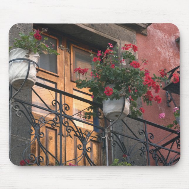 Arkitektur på San Miguel de gator Musmatta (Framsidan)