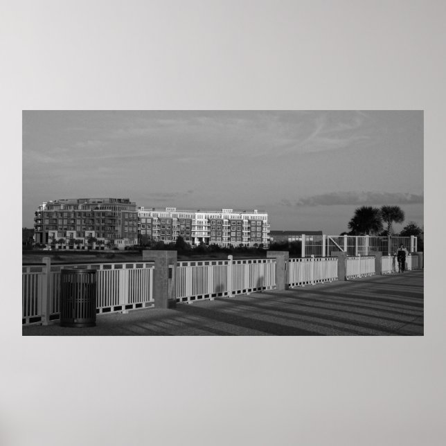 Arkitektur vid Ravenel-bron Poster (Framsidan)