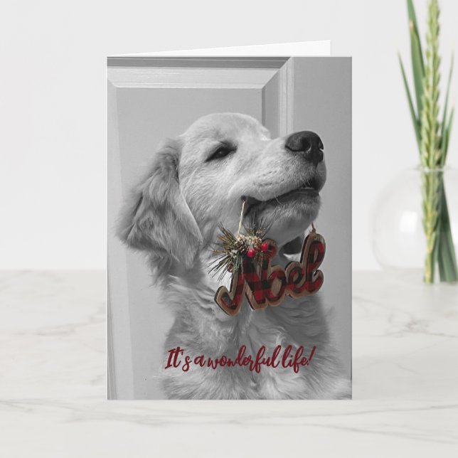 Arkivets Äventyr Blank Greeting Card 14 Tack Kort (Framsida)