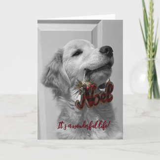 Arkivets Äventyr Blank Greeting Card 14 Tack Kort