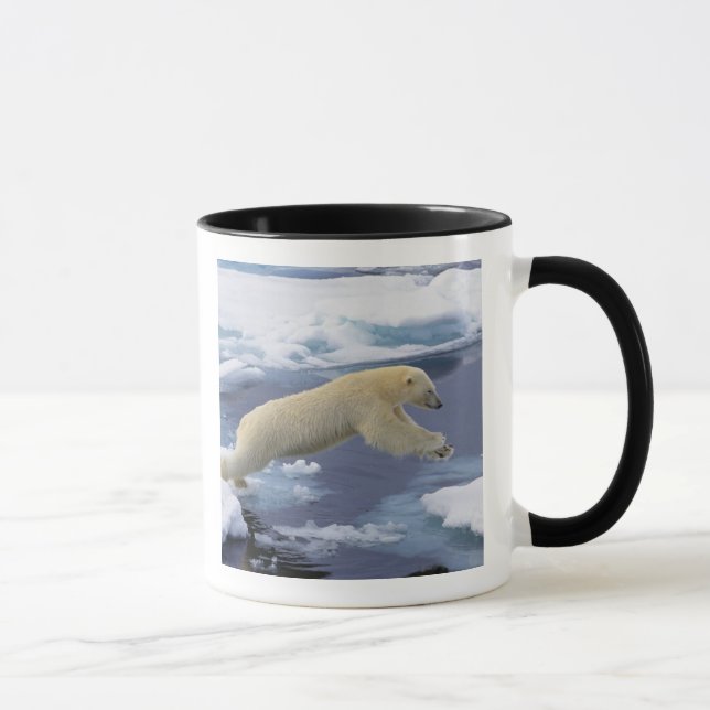 Arktis, Svalbard, Isbjörn sträcker sig Mugg (Höger)