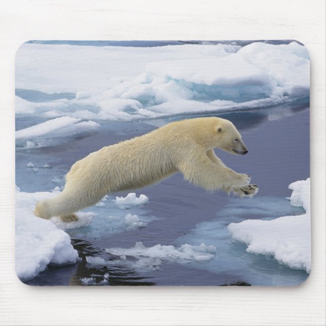 Arktis, valbard, utvidgning av Polar Bear Musmatta (Framsidan)