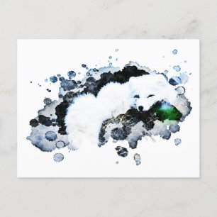 *~* Arktis White - Snö Polar Fox Ap18 Wildlife Vykort