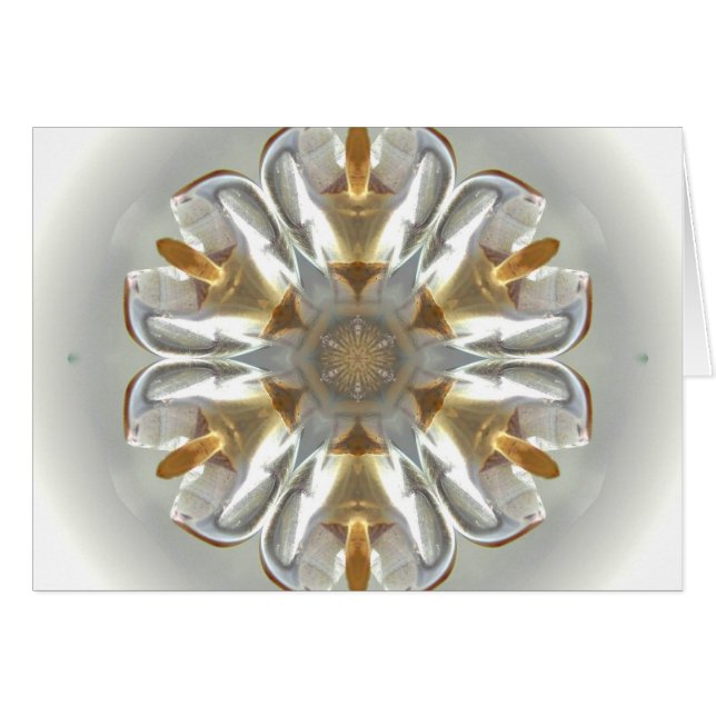 Arktisk ängel hälsningskort (Framsidan Horizontal)