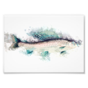 Arktisk grayling AQuarelle Art Fiskeentusiaster Fototryck