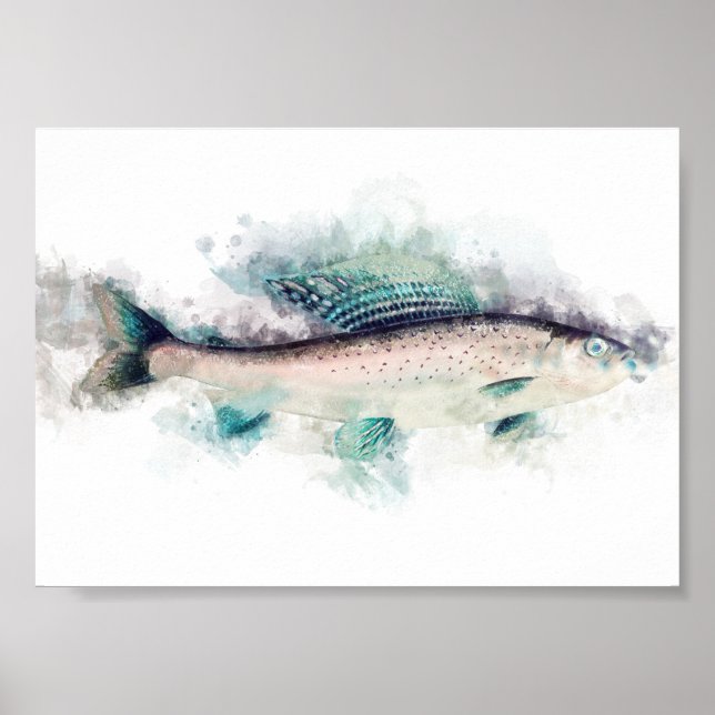 Arktisk grayling AQuarelle Art Fiskeentusiaster Poster (Framsidan)