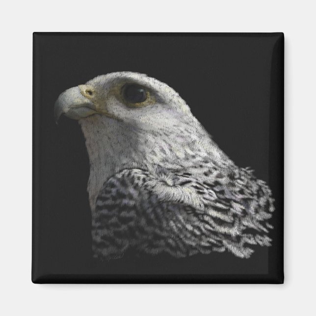 Arktisk Gyrfalcon Magnet (Framsidan)