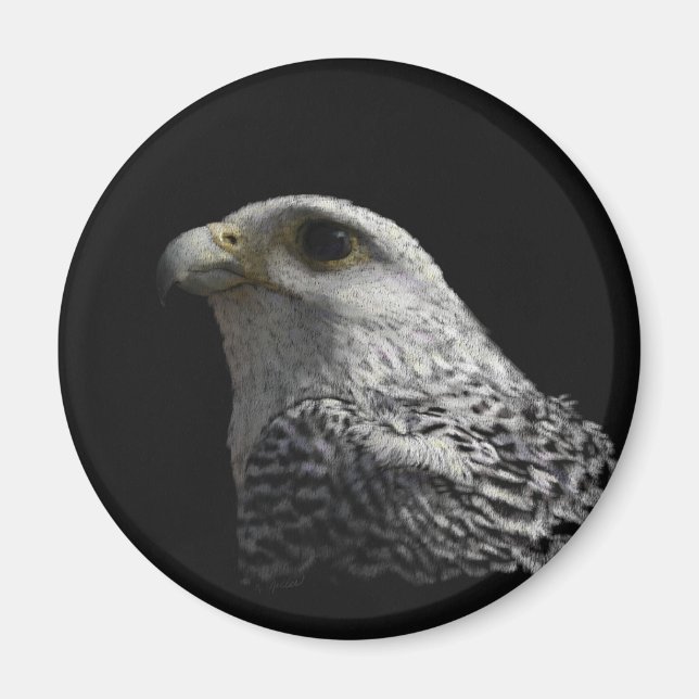 Arktisk Gyrfalcon Magnet (Framsidan)