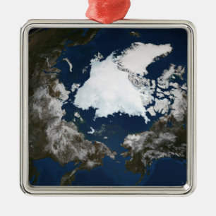 Arktisk havsis julgransprydnad metall