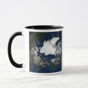 Arktisk havsis mugg