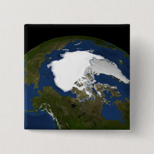 Arktisk is 2005 knapp