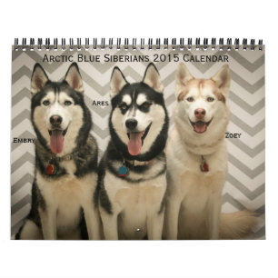Arktisk kalender för blåttSiberians 2015