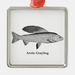 Arktisk Logotyp för gradering (konst) Julgransprydnad Metall