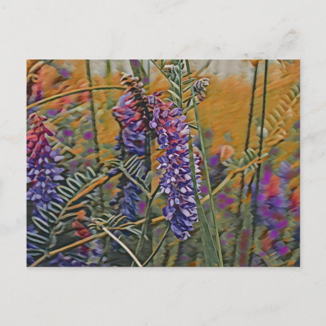 Arktisk Lupine Vibrant Vykort (Framsida)