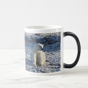 Arktisk polar björn, arktisk kall magisk mugg