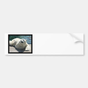 Arktisk polar björnbildekal bildekal