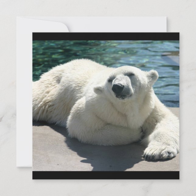 Arktisk polar björninbjudan inbjudningar (Framsida)