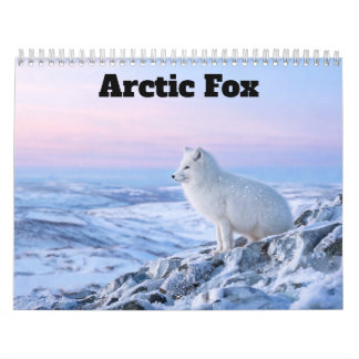 Arktisk Räv 2027 Kalender