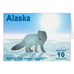 Arktisk räv - Alaska Postage Hälsningskort