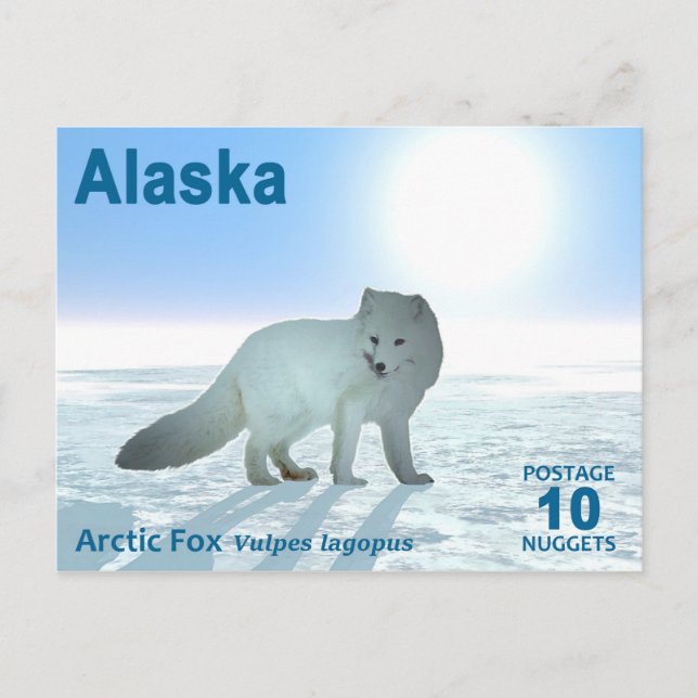 Arktisk räv - Alaska Postage Vykort (Framsida)