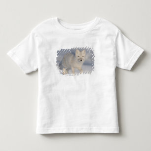Arktisk räv, Alaska Tee