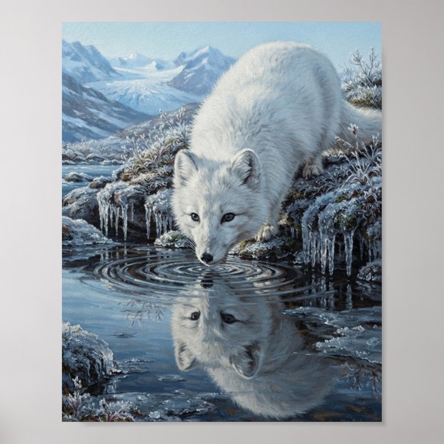Arktisk Räv Dricker Vatten från Glacial Bäck Refle Poster (Framsidan)