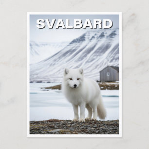 Arktisk räv i Svalbard-Norgen Vykort