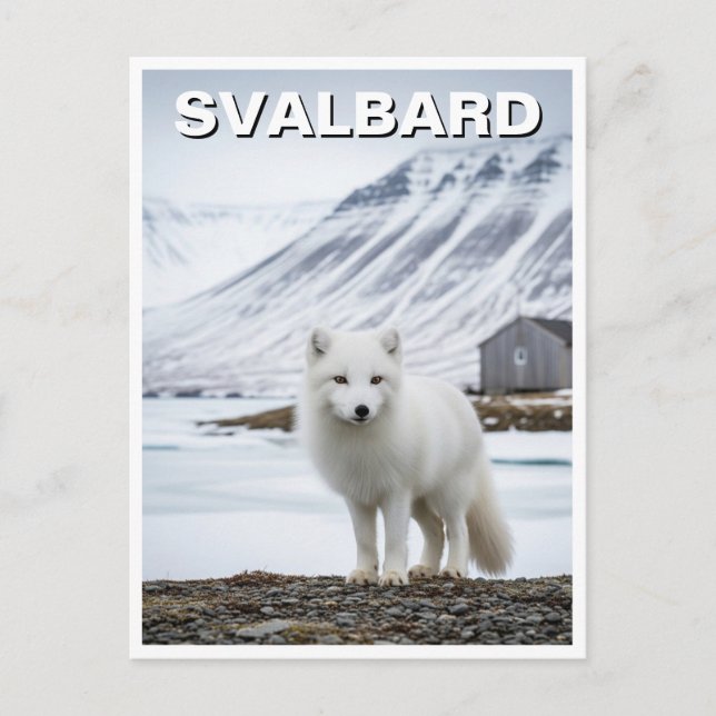 Arktisk räv i Svalbard-Norgen Vykort (Framsida)