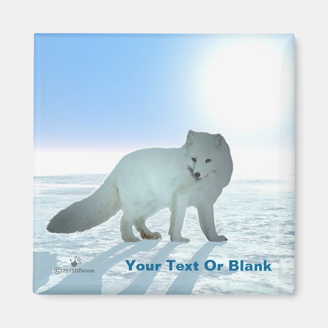 Arktisk räv magnet (Framsidan)