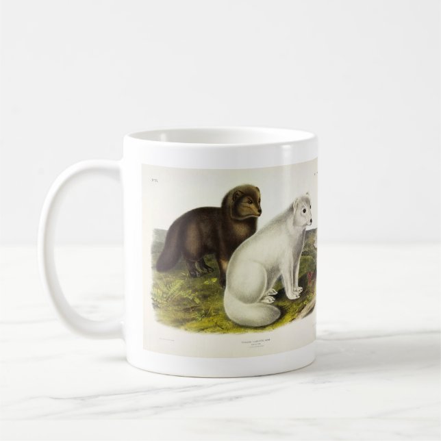 Arktisk räv (vit räv, Polar Fox, Snö räv) Kaffemugg (Vänster)