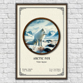 Arktisk Räv Zoologi Serie Poster