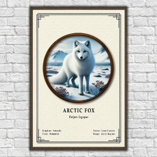 Arktisk Räv Zoologi Serie Poster